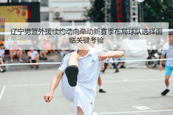 辽宁男篮外援续约动向牵动新赛季布局球队选择面临关键考验